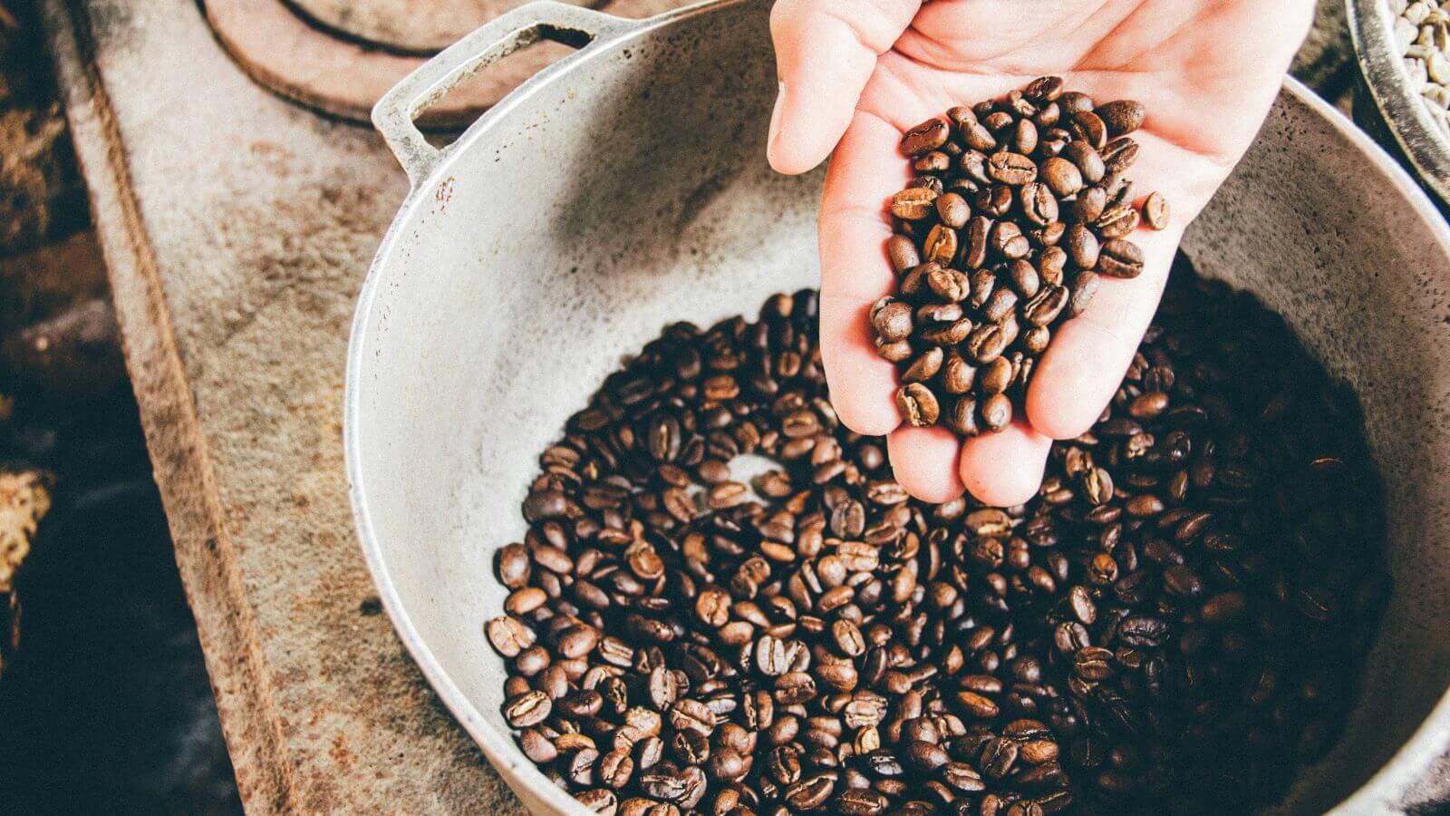 The most fascinating coffee stories from around the world: myths, revolutions and curious facts